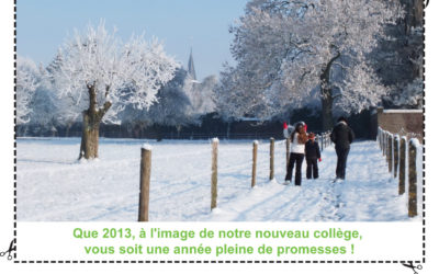 Avis en vert n°62 – Hiver 2012-2013