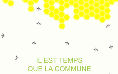 Avis en Vert n°63 – été 2013