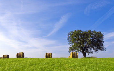 La dégradation des sols est dramatique