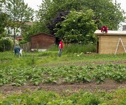 Potawal: cultiver les légumes… et le lien social