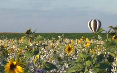 La poésie des paysages de Walhain