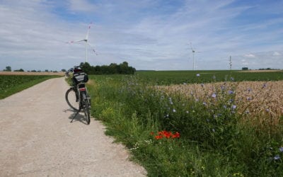 Environnement et santé, biodiversité et agriculture, quelles alliances?