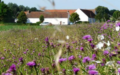 Une autre agriculture? Oui, c’est possible…