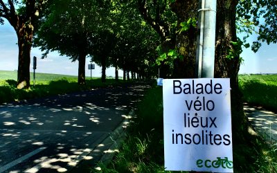 4e balade vélo ECOLO. Un grand cru ensoleillé…
