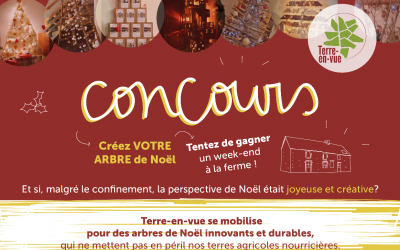 Un sapin durable pour Noel. Quelle idée?