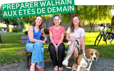 L’Avis en vert 81 – Préparer Walhain aux étés de demain