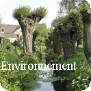 Préserver la qualité de l’environnement et la biodiversité